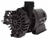 Teton Mag Drive Pump